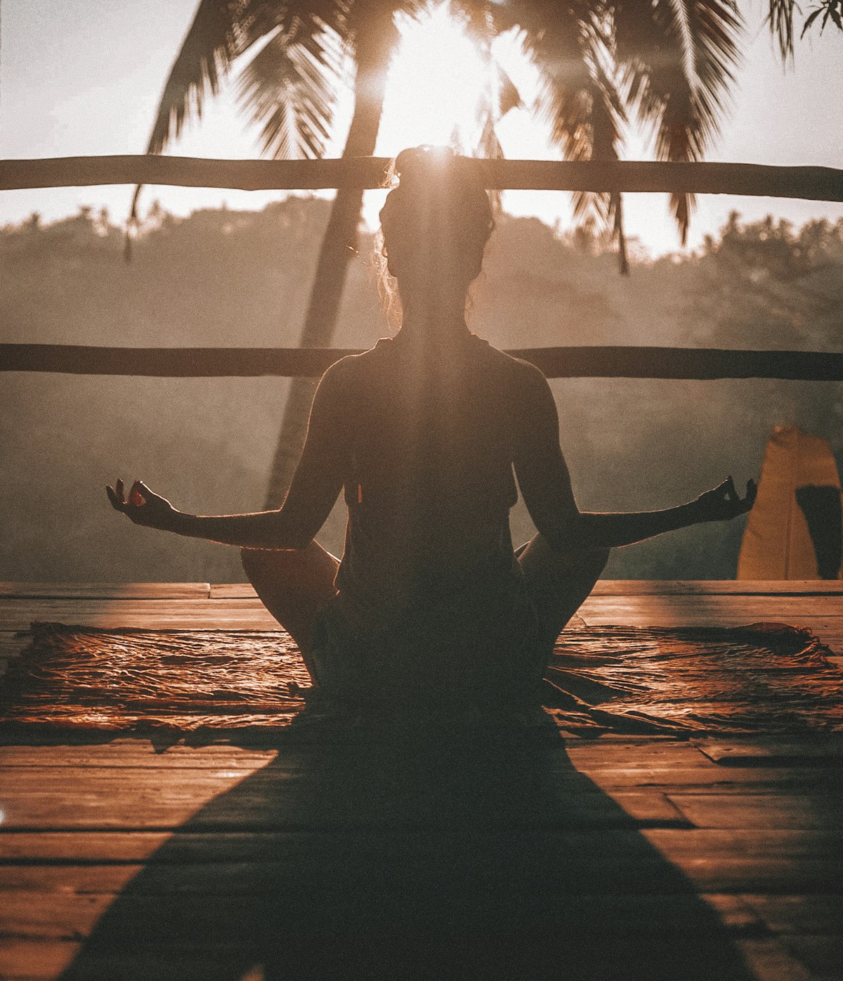 Wellness & Recovery